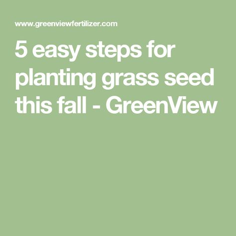 5 easy steps for planting grass seed this fall - GreenView How To Plant Grass, Fall Lawn Maintenance, Overseeding Lawn, Planting Grass Seed, Fall Lawn Care, Mushroom Compost, Fall Lawn, Planting Grass, Lawn Care Tips