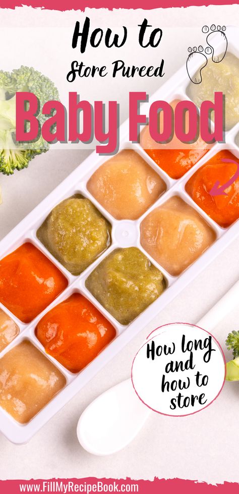 Freezer Baby Food, Homemade Baby Food Storage, Baby Food Recipes Stage 1, Sweet Potato Baby Food, Easy Homemade Baby Food, Freezing Baby Food, My Recipe Book, Baby Solid Food, Making Baby Food