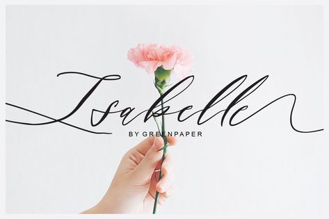 Motivational Logo, Creative Typeface, Stylish Quotes, Spring Lifestyle, Branding Feminine, Street Poster, Fonts Calligraphy, Brush Design, Script Design