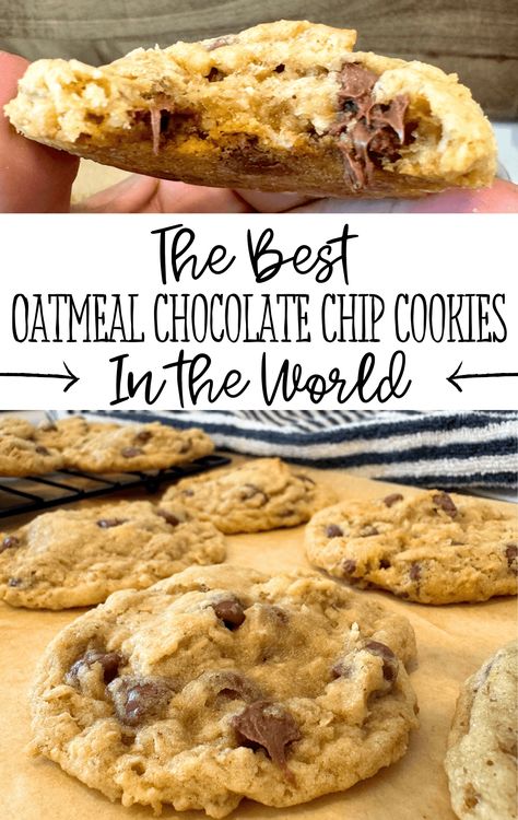 Seriously the best oatmeal chocolate chip cookies with the perfect oatmeal cookie base and your favorite kind of chocolate chips... Soft and gooey in the middle, but still hold their shape! Chocolate Oatmeal Chip Cookies, Oatmeal Peanut Butter Chip Cookies, Chocolate Chip Granola Cookies, Cookie Oatmeal Chocolate Chip, Chocolate Chip Oatmeal Peanut Butter Cookies, The Best Chocolate Chip Oatmeal Cookies, Oatmeal Chocolate Cookies Recipes, Large Oatmeal Chocolate Chip Cookies, Choc Chip Oatmeal Cookies Recipes