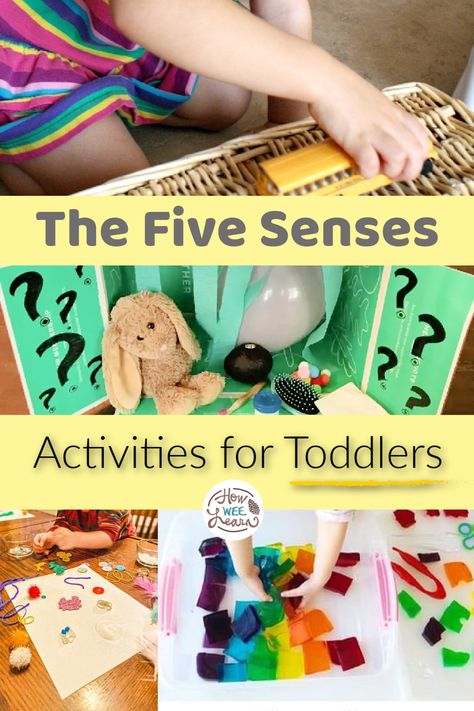 Five Senses Activities For Infants, 5senses Activities For Toddlers, 5 Senses Lesson Plan For Toddlers, 5 Senses For Toddlers Activities, Five Senses Hearing Activities, 5 Senses Arts And Crafts For Toddlers, Touch And Feel Activities For Preschool, 5 Senses Hearing Preschool, Touch Activities For Toddlers