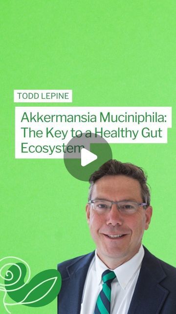 Gut Health & Nutrition on Instagram: "Akkermansia muciniphila is a bacterium that resides in the mucous layer of the gut and plays a crucial role in maintaining gut barrier integrity and overall gut health. Higher levels of Akkermansia muciniphila have been associated with various health benefits due to its ability to modulate the immune system, reduce inflammation, and regulate metabolism.

Certain foods, such as pomegranate, cranberries, acacia fiber, and green tea, contain compounds known as prebiotics that serve as fuel for beneficial gut bacteria, including Akkermansia muciniphila. By consuming these prebiotic-rich foods, individuals can promote the growth and proliferation of Akkermansia muciniphila, thereby supporting a healthier gut microbiome.

Podcast - @drmarkhyman" Akkermansia Benefits, Gut Bacteria, The Immune System, Leaky Gut, Gut Microbiome, Health Nutrition, Healthy Gut, Reduce Inflammation, Gut Health