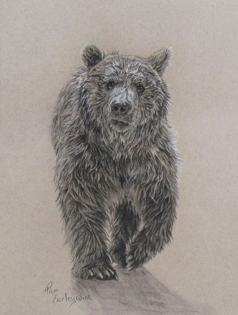 Delicious Drawings | creativeartworksblog Brown Bear Tattoo, Adoption Tattoo, Black Bear Tattoo, Grizzly Bear Tattoos, Bear Sketch, Bear Tattoo Designs, Bear Tattoos, Bear Drawing, Bear Tattoo