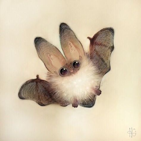 Image via We Heart It https://weheartit.com/entry/147308467/via/497196 #adorable #art #bat #cute #fluffy #round #sketch #heathersketcheroos Bat Art, Cute Bat, Dessin Adorable, Arte Animal, Art And Illustration, 영감을 주는 캐릭터, Cute Animal Drawings, 귀여운 동물, 그림 그리기