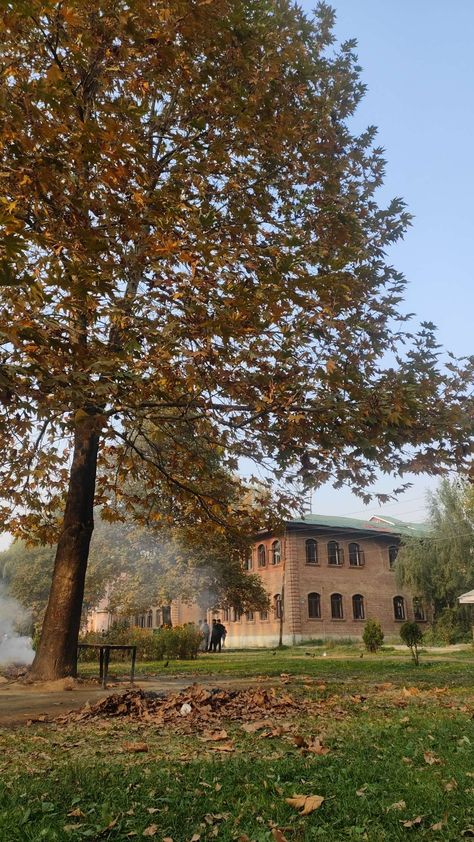 Autumn 🍁🍂 Amar singh college srinagar kashmir Park Desi #nature #Beautiful #srinagar #kashmir #park #chinar #trees Srinagar Autumn, Srinagar Kashmir Aesthetic, Srinagar Photography, Srinagar Aesthetic, Srinagar Kashmir Photography, Autumn In India, Kashmir Pics, Kashmir Aesthetic, Kashmir Beauty