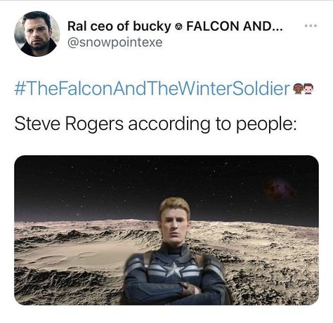 Winter Soldier Memes, Falcon And The Winter Soldier, Makes No Sense, Marvel Tv, Funny Marvel Memes, The Winter Soldier, The Falcon, Avengers Memes, Marvel Series