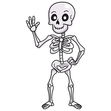 Simple Skeleton Drawing, Skeleton Drawing Easy, Skeleton Art Drawing, Cartoon Skeleton, Skeleton Drawing, Cartoon Body, Skeleton Drawings, Drawing Now, Skeleton Decorations