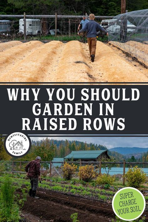 Types Of Garden Beds, Raised Rows Gardening, Row Planting Vegetable Gardening, Raised Garden Bed Rows, Row Vegetable Garden Layout, Raised Garden Beds Vs In Ground, Making Garden Rows, Grocery Row Gardening, Garden Rows Ideas