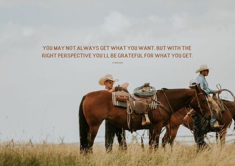 Western Wallpapers, Cowgirl Life, Western Quotes, Cowboy Quotes, Country Cow, Vintage Stars, Lifestyle Shoot, Western Vibes, Western Lifestyle