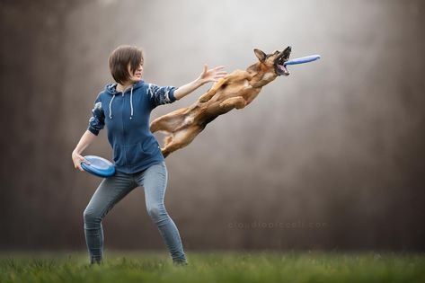 Dutch Shepherd Dog, Dog Frisbee, Jumping Dog, German Shepherd Funny, Flying Discs, Long Haired Dogs, Australian Kelpie, Defying Gravity, Athletic Body