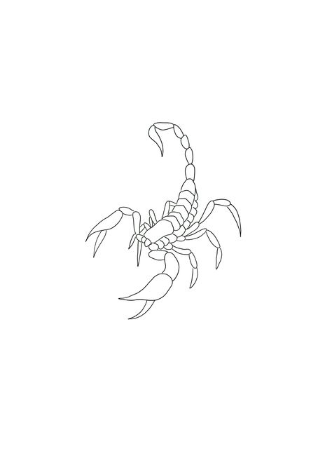 One Line Scorpion Tattoo, Line Art Scorpion, Scorpion Line Art, Fineline Scorpion Tattoo, Scorpio Tattoo Stencil, Scorpion Tattoo Red, Scorpion Line Tattoo, Cute Scorpion Tattoo, Red Scorpion Tattoo