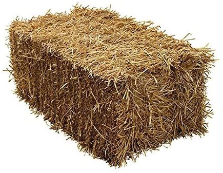 Fleet Farm® Barley Straw Full Bale - 100x50x40cm - Feed Quality : Amazon.co.uk: Pet Supplies Fleet Farm, Growing Grass, Straw Bale, Straw Bales, Erosion Control, Hay Bales, Rabbit Hutches, Wheat Straw, Farm Decor