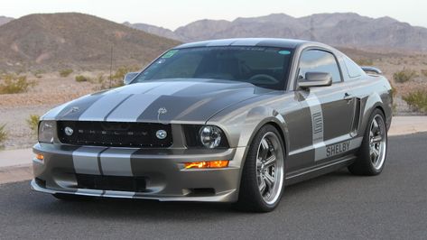 Shelby 500, Mustang 2008, Leather Interior Design, Mustang 2005, 2005 Ford Mustang, Gt 500, Mustang Gt500, Modern Cars, Ford Roadster