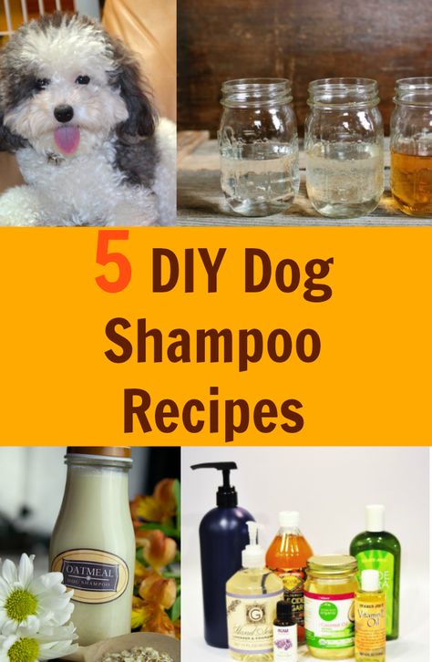 Dry Shampoo For Dogs, Dog Shampoo Recipe, Diy Dog Wash, Dog Homemade, Diy Shampoo Recipe, Diy Dog Shampoo, Homemade Dog Shampoo, Natural Dog Shampoo, Smelly Dog