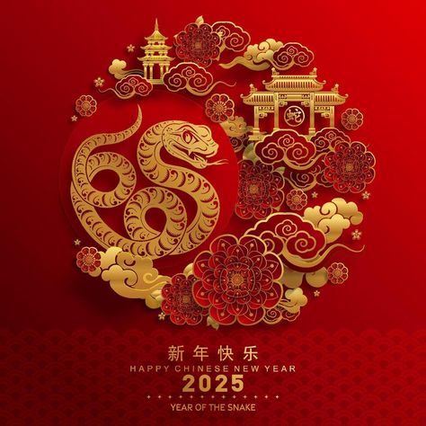 Happy chinese new year 2025 the snake zodiac sign with flower,lantern,asian elements red paper cut style on color background. Year Of The Snake 2025, Snake Zodiac, Flower Lantern, Chinese New Year Zodiac, Chinese New Year Background, Chinese Background, Chinese New Year Design, New Year Art, Chinese Decor