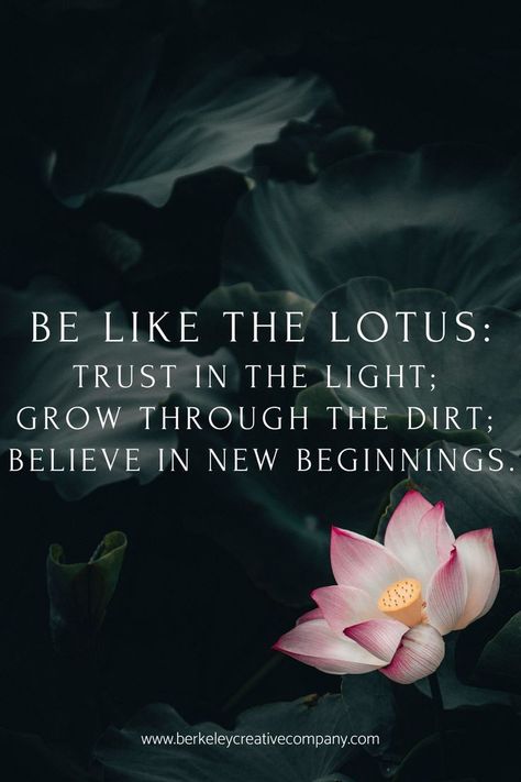 Symbols For New Beginnings, Lotus Quotes Inspiration, Lotus Quotes, Lotus Flower Quote, Lotus Quote, Positive Daily Quotes, Growing Art, Find Inner Peace, Postive Life Quotes