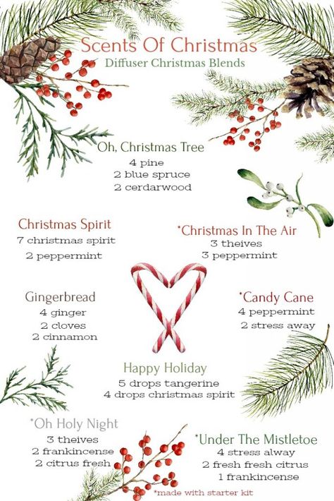 Does your home smell like Christmas? Your whole home can smell like your favorite Christmas scents. How about Christmas tree, or candy cane or peppermint. Easy! I'll show you how... #christmas #oils #christmasoils #christmasscents #christmasaromas Candle Recipes, Christmas Diffuser Blends, Essential Oil Combinations, House Organization, Essential Oil Diffuser Blends Recipes, Young Living Essential Oils Recipes, Essential Oil Diffuser Recipes, Yl Essential Oils, Oil Diffuser Recipes