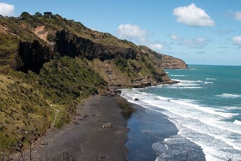 Muriwai Beach in Auckland Muriwai Beach, Beach Cars, Auckland City, Surf School, Calm Water, Black Sand, Auckland, Public Transport, East Coast