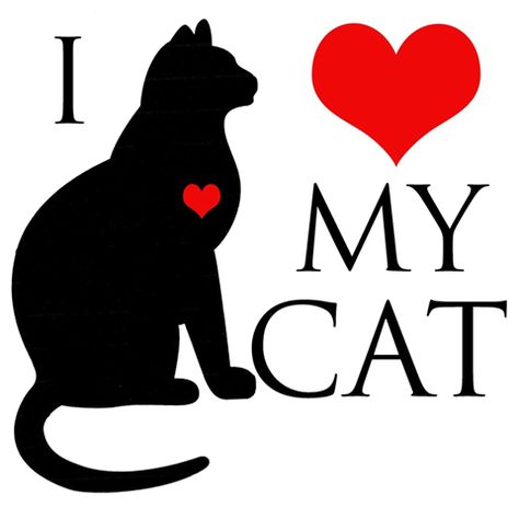 sí, sí : Yo amo a mis gatitos... Merengue, José Gomita y Brandy!! I Love My Cats, Gatos Cool, Cat Cartoons, Cats Black, Cat Mouse, A Black Cat, Cat Signs, Cat Quotes, All About Cats