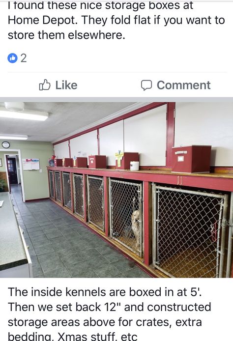 Dog Boarding Facility Ideas At Home, Small Dog Boarding Facility, Shipping Container Dog Kennel, Garage Dog Kennel Ideas, Commercial Dog Kennel Ideas, Dog Boarding Facility Ideas, Indoor Dog Pen, Kennel Business, Dog Room Design