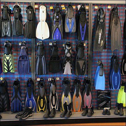 Scuba Goggles, Scuba Shop, Diving School, Gear Room, Scuba Gear, Dive Shop, Scuba Dive, Diving Center, Skateboard Design