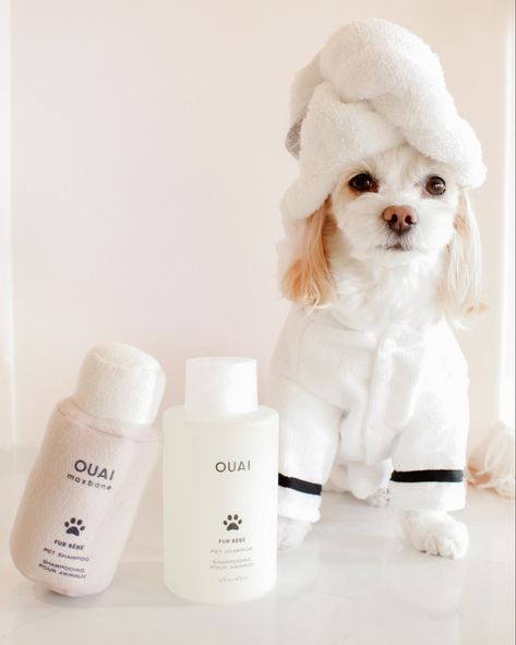 Dog in a bath robe and head towel so cute, with OUAI new pet shampoo Dog Skin Care Products, Ouai Dog, Dog Skincare Aesthetic, Ouai Dog Shampoo, Dog Shampoo Photography, Pet Shampoo Photography, Dog Influencer, Dog Shampoo Packaging Design, Luxury Shampoo