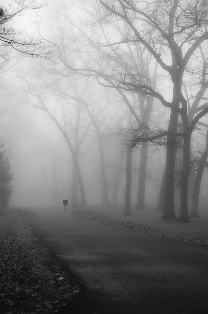 . Foggy Morning Aesthetic, Spooky Landscapes, Gray Hour, Foggy Aesthetic, Grey Hour, Dark Morning, Calming Pictures, Dark Naturalism, Gloomy Weather