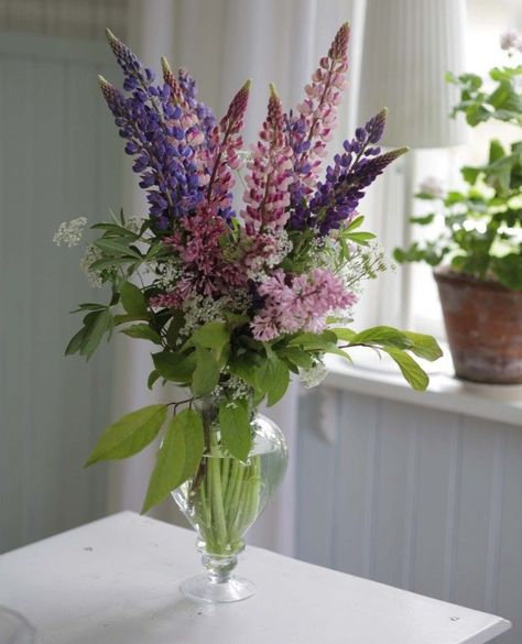 Lupine Wedding, Lupine Bouquet, Lupin Wedding, Geraniums Red, Lupine Flowers, Lilac Bouquet, Pink Geranium, Flower Cottage, Red Clover