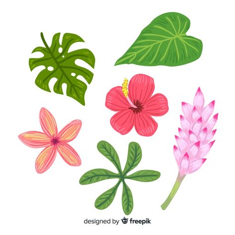 Hand drawn tropical flowers and leaves Free Vector Tropical Leaves Doodle, Hawaiian Flower Illustration, Tropical Flower Illustration, Hawaii Doodles, Tropical Flowers Painting, Gouache Florals, Beach Leaves, Beach Plants, Tropical Flowers Illustration