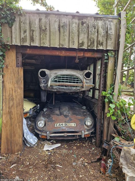 Seven 'rustbucket' classic cars found in a shed after 50 years to sell for over £200k | Daily Mail Online Barn Finds Classic Cars, Hot Rod Cars, Barn Find Cars, Car Shed, Rust Never Sleeps, Car Barn, Cars 4, Rusty Cars, Ac Cobra