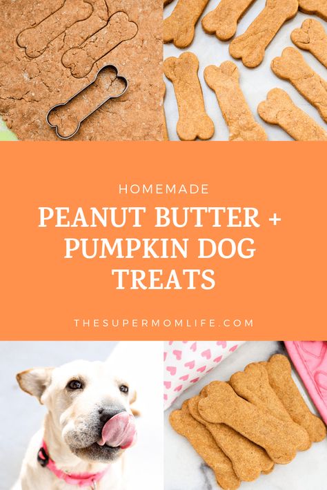 This homemade dog treat recipe is so easy to make and only has four ingredients. They are so much better than store bought and your dog will love them! dog treat recipe, homemade dog treats, peanut butter dog treats, peanut butter and pumpkin dog treats, pumpkin dog treats, healthy dog treats, all natural dog treats, puppy, dog Peanut Butter Pumpkin Dog Treats, Pig Treats, Dog Cookie Recipes, Homemade Dog Cookies, Dog Treat Recipe, Dog Treats Homemade Easy, Doggy Treats, Easy Dog Treat Recipes, Dog Biscuit Recipes