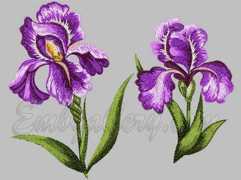 Iris Embroidery, Iris Drawing, White Iris, Diy Embroidery Designs, Redwork Embroidery, Machine Pattern, Cross Stitch Patterns Flowers, Portrait Design, Embroidery Motifs