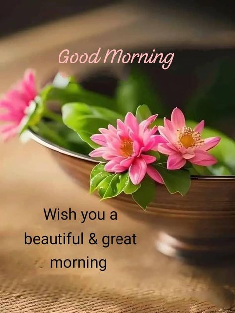 Good Morning With Flowers, Good Morning Sun, Happy Good Morning Images, Good Morning Massage, Good Morning Tea, Good Morning Funny Pictures, Jesus Songs, Good Morning Flowers Rose, Morning Sweetheart