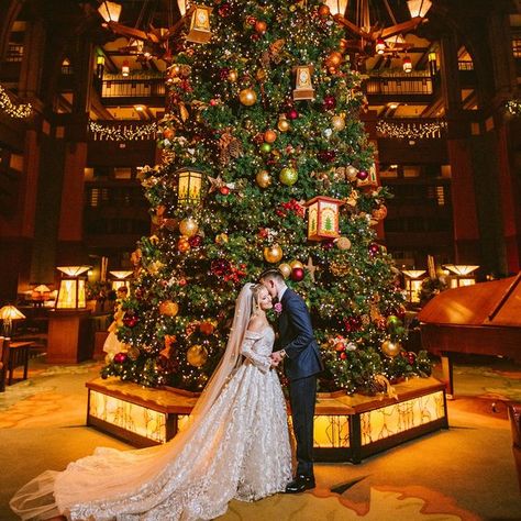 Christmas Wedding Decor, Christmas Wedding Dresses, Christmas Wedding Inspiration, Wedding Dance Songs, Christmas Shoot, A Very Merry Christmas, Winter Wonderland Wedding, Affordable Wedding Dresses, Applique Wedding Dress