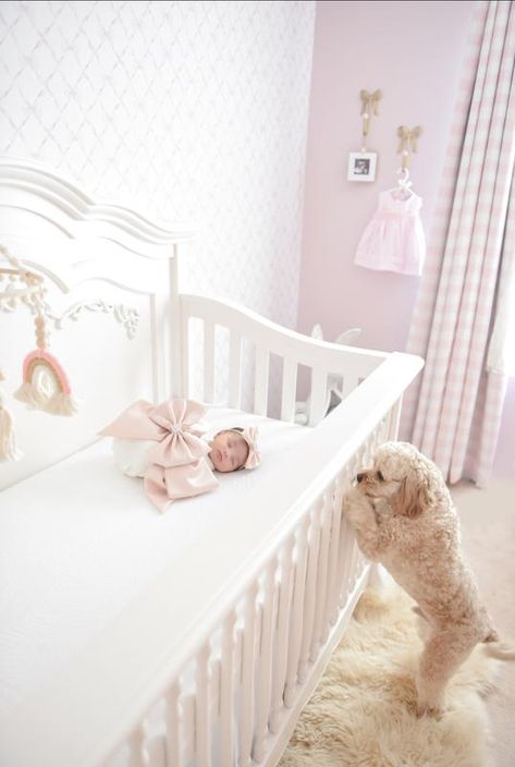 Twins Nursery, Girl Cribs, Baby Room Inspiration, Nursery Room Inspiration, Buybuy Baby, Blue Anchor, Newborn Shoot, Baby Nursery Furniture, Convertible Crib