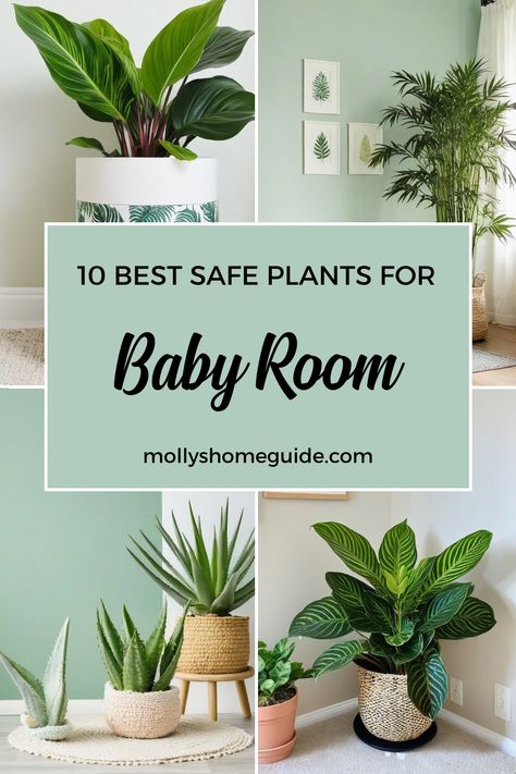 Discover the best indoor plants for baby rooms that are both safe and stylish. Use this indoor plant care guide to find low-light, zero sunlight, and cat-safe plants that are perfect for bedrooms. Explore hard-to-kill and low-maintenance houseplants ideal for hanging or styling your space. Whether you're a plant parent newbie or a seasoned green thumb, these selections like prayer plants will add life to any room effortlessly. Hanging Plants In Nursery, Plant Inspired Nursery, Best Plants For Nursery, Plants For Nursery Baby Rooms, Nursery Plants Ideas, Plant For Nursery, Plants For Nursery, Nursery With Plants, Plants For Baby Nursery