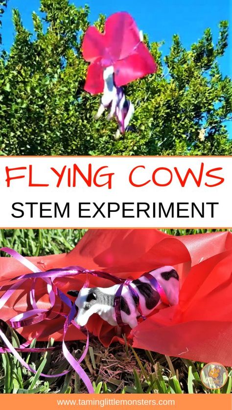 This flying cow STEM experiment is a fun take on a parachute experiment. Get your kids to design and test different parachutes to see which one is the best at helping the cow fly. When you have a winner, then it turns into a mini world and you’re all set to go on an adventure. These cows are up to something. Farm Science Experiments Preschool, Stem Activity For Kids, Kindergarten Art Activities, Farm Lessons, Stem Activities Preschool, Summer Camp Themes, Farm Theme Preschool, Science For Toddlers, Stem Experiments