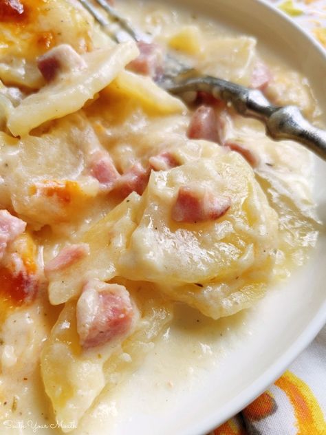 Ham & Cheese Scalloped Potatoes Ham And Potato Recipes, Cheese Scalloped Potatoes, Scalloped Potato Casserole, Scalloped Potatoes Crockpot, Slow Cooker Scalloped Potatoes, Homemade Scalloped Potatoes, Potatoes And Ham, Ham And Potato Casserole, Creamy Scalloped Potatoes