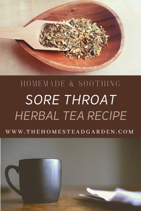 Sore Throat Tea Remedies, Herb For Sore Throat, Best Herbs For Sore Throat, Herbal Remedy For Sore Throat, Soothing Tea For Sore Throat, Herbal Tea Recipes For Colds, Sore Throat Tincture, Throat Soothing Tea, Herbal Throat Remedies