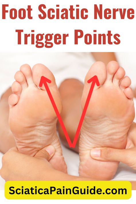 Foot Sciatic Nerve Trigger Points Sciatic Nerve Exercises, Sciatica Massage, Nerve Pain Remedies, Sciatic Nerve Stretches, Nerve Relief, Sciatic Nerve Relief, Sciatic Nerve Pain Relief, Sciatica Stretches, Piriformis Stretch