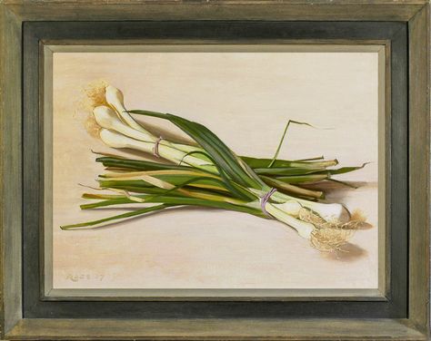 Stephen Rose - Spring onions | From a unique collection of Fine Art at http://www.1stdibs.com/art/ Onion Drawing, Spring Drawing, Inspiring Artwork, Paintings Landscape, Still Life Paintings, Spring Onions, Life Paintings, Spring Onion, British Artist