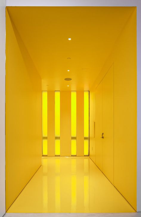 Music Academy, Pineapple Yellow, Jaune Orange, Yellow Walls, Yellow Wallpaper, Yellow Aesthetic, Aesthetic Colors, Colour Board, Mellow Yellow