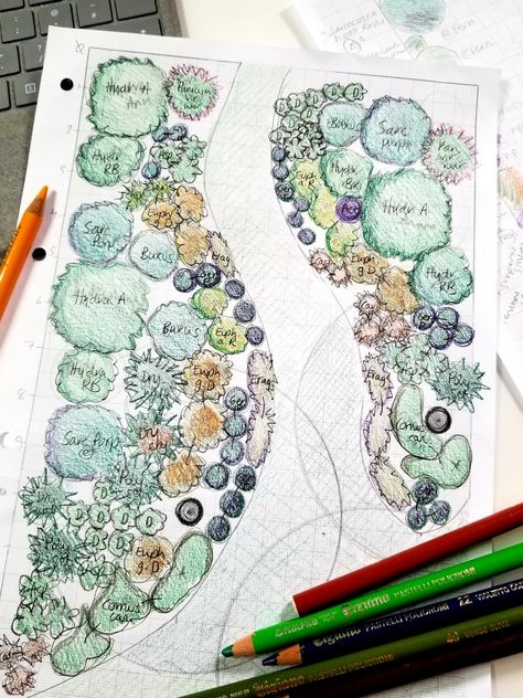 Landscape Architecture Planting Plan, Garden Design Plans Drawing Layout, Wide Garden Design Layout, Planting Design Plan, Prunus Serrula, Plant Layout, Planting Layout, Greek Garden, Flower Garden Plans