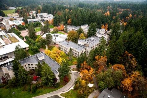 The Evergreen State College was named a "Best Buy" college by Fistke Guide, the only college in Washington; one of three on the west coast. Evergreen State College, Goals Board, Vision Bored, College Search, Olympia Washington, Evergreen State, San Juan Islands, College Town, My Class