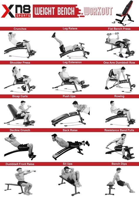 Bench Workouts, Bench Exercises, Adjustable Workout Bench, Beach Bod, Workout Bench, Fitness Boxing, Bench Workout, Gym Plan, Beginner Workout At Home