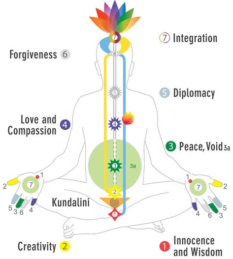 Chakras - Sahaja Yoga Sahaja Yoga Meditation, Heart Organ, Sahaja Yoga, Second Chakra, Central Nervous System, Yoga Help, Respiratory System, Self Realization, Energy System