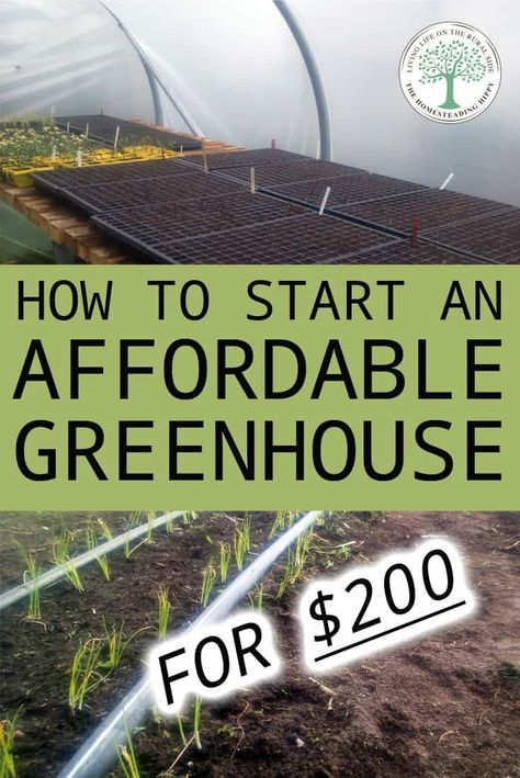 Affordable Greenhouse, Diy Garden Landscaping, Cheap Greenhouse, Diy Greenhouse Plans, Outdoor Greenhouse, Garden Pond Design, Build A Greenhouse, Backyard Greenhouse, Greenhouse Plans