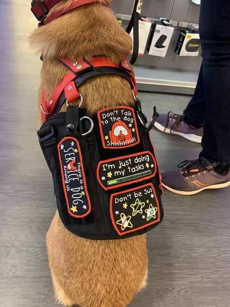 Theres a service dog among us Dog Paw Drawing, Psychiatric Service Dog, Service Dog Patches, Service Dogs Gear, Getting A Kitten, Service Dog Training, Service Dog Vests, Emotional Support Dog, Dog Patch