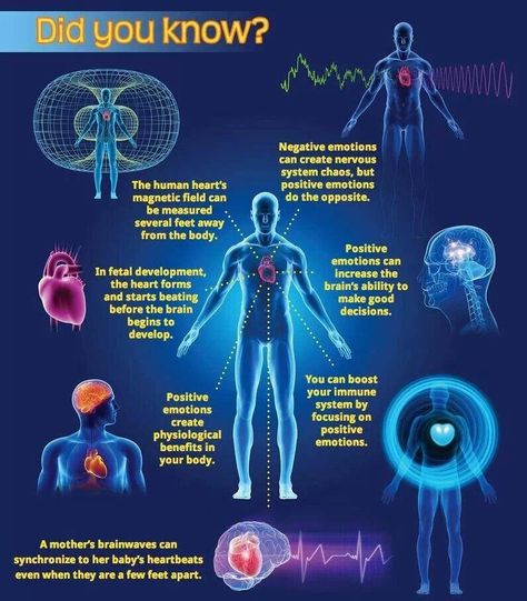 Dr. Joe Dispenza Fetal Development, Spirit Science, Energy Medicine, Quantum Physics, Positive Emotions, The Human Body, Energy Field, Negative Emotions, Nervous System