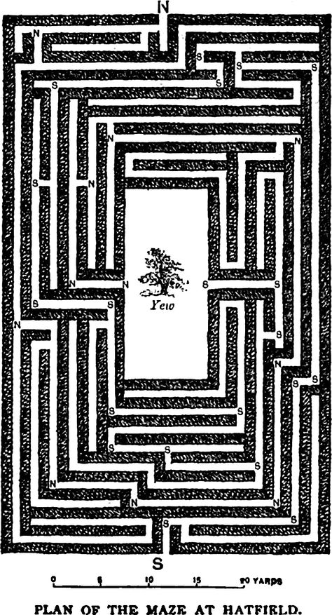 Maze Tattoo, The Mysterious Benedict Society, Maze Book, Labyrinth Maze, Maze Design, Magic System, Manor Houses, Idea Design, Needle Point